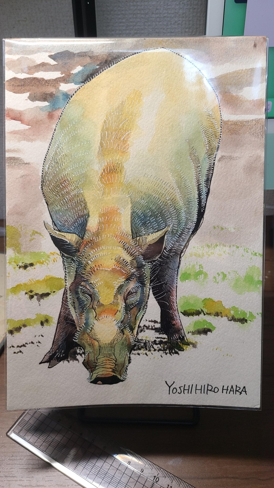 ニホンイノシシ - FROM ARTIST