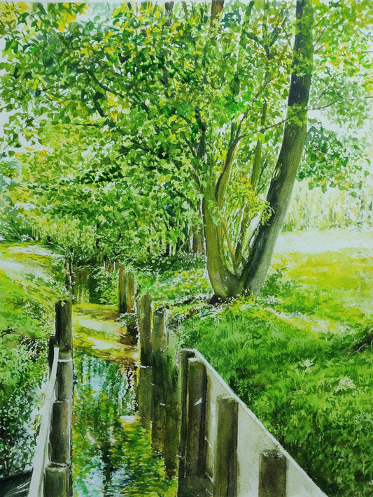 水路を描く緑 - FROM ARTIST