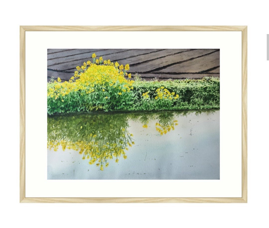 畔の菜の花 - FROM ARTIST