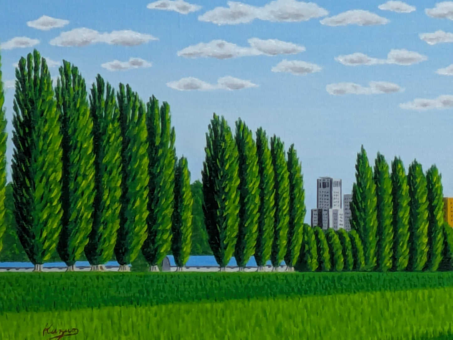 北海道大学のポブラ並木 - FROM ARTIST