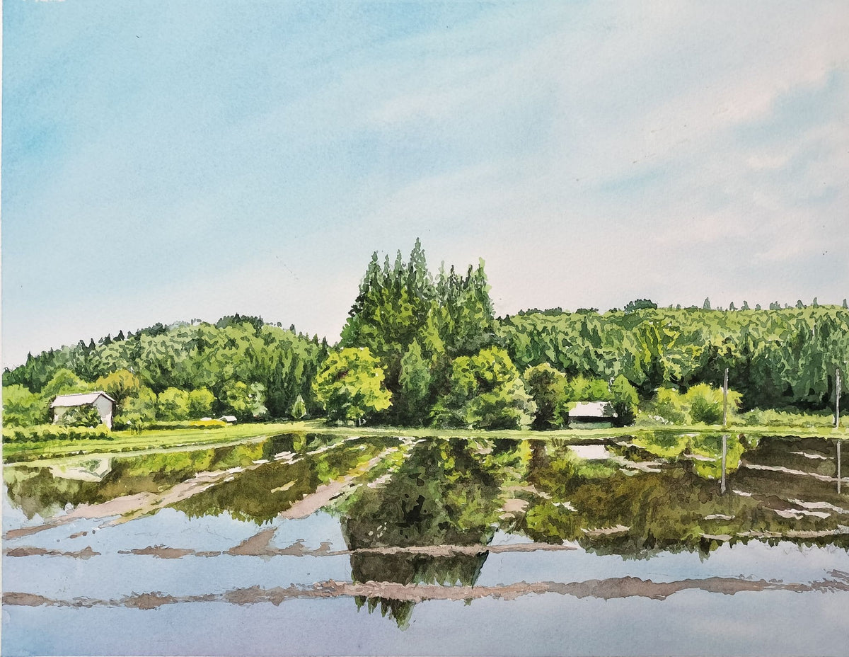 晴れの日の水鏡 - FROM ARTIST