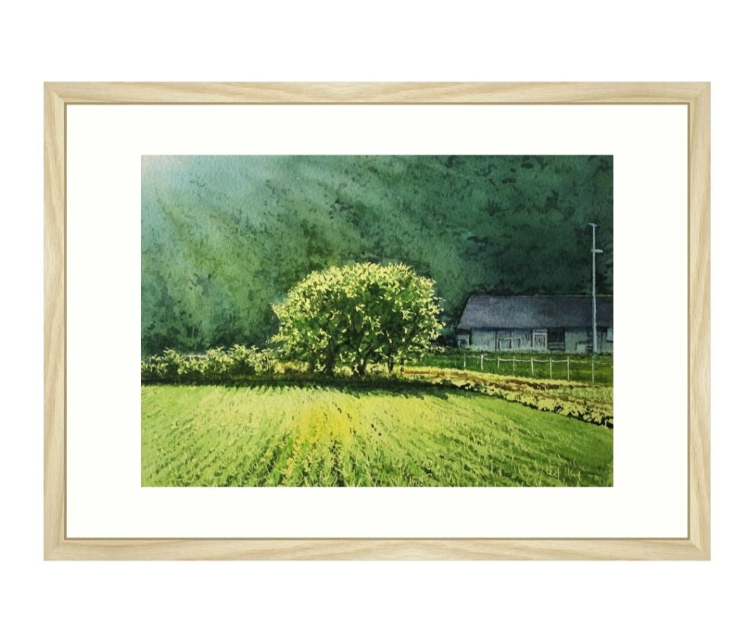 里の光 - FROM ARTIST