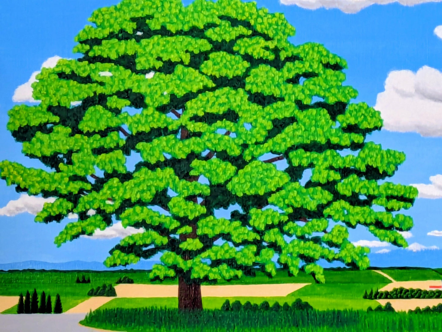 美瑛セブンスターの大木 - FROM ARTIST