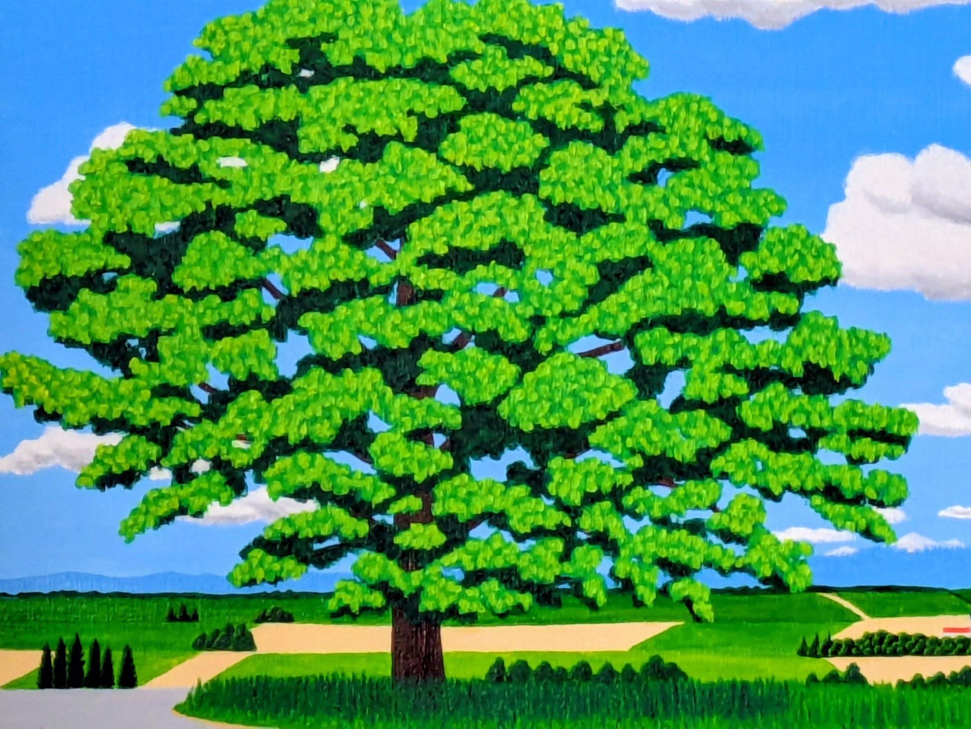 美瑛セブンスターの大木 - FROM ARTIST