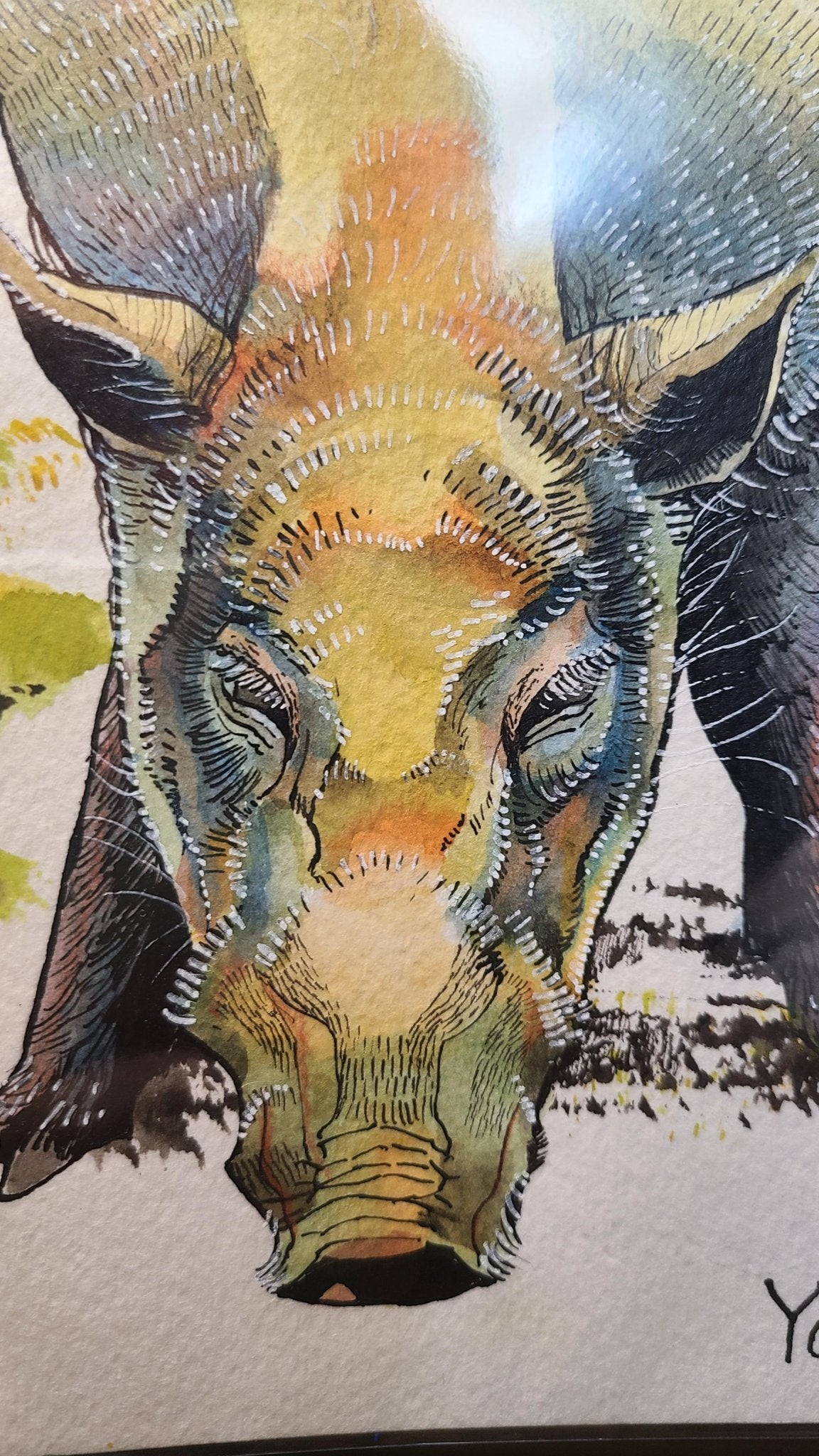 ニホンイノシシ - FROM ARTIST