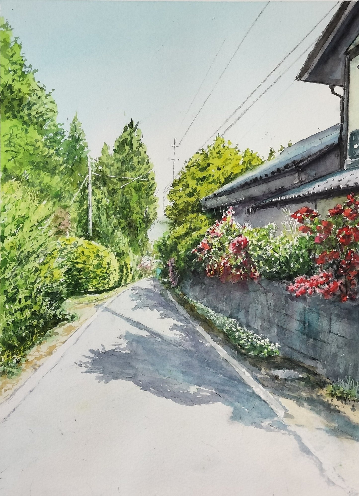 ツツジ咲く道 - FROM ARTIST