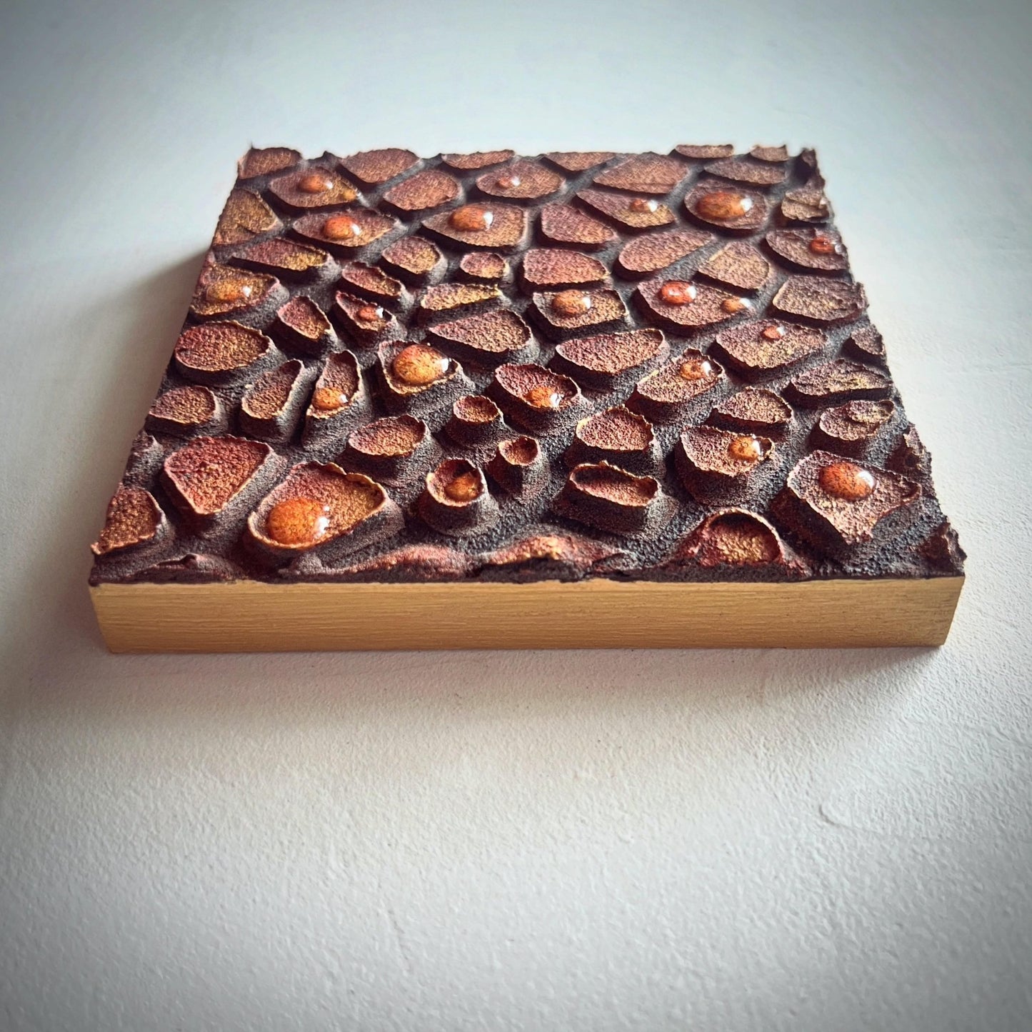 甦る大地 - FROM ARTIST