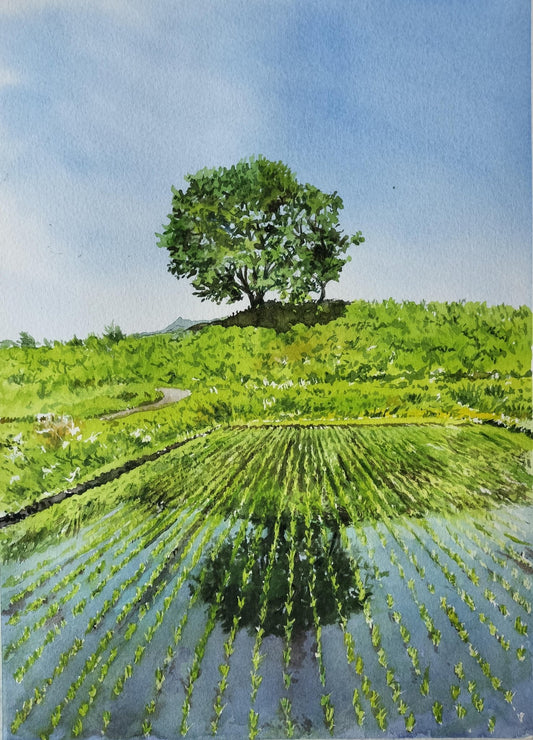 快晴に立つ - FROM ARTIST