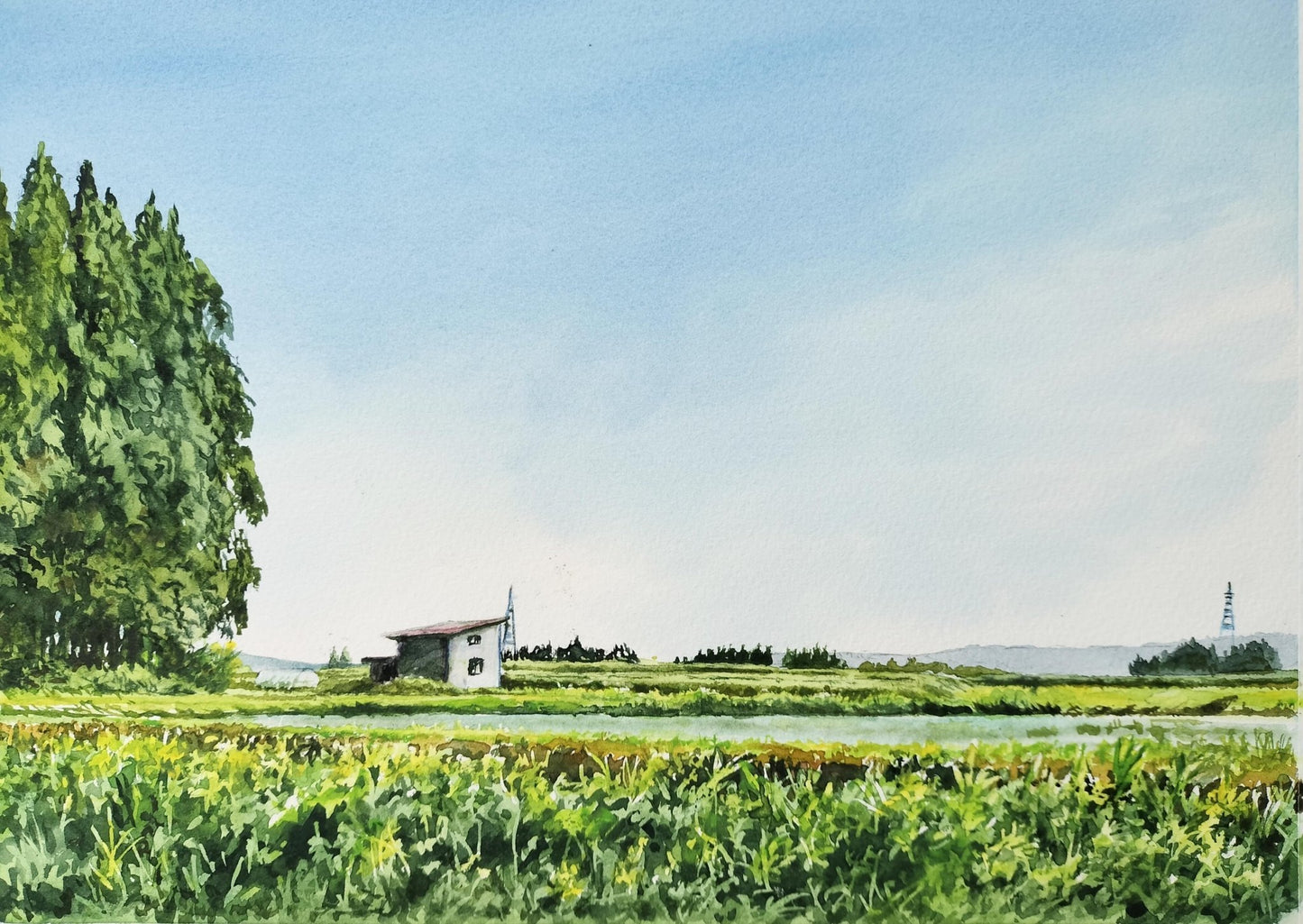 五月晴れを仰ぐ - FROM ARTIST