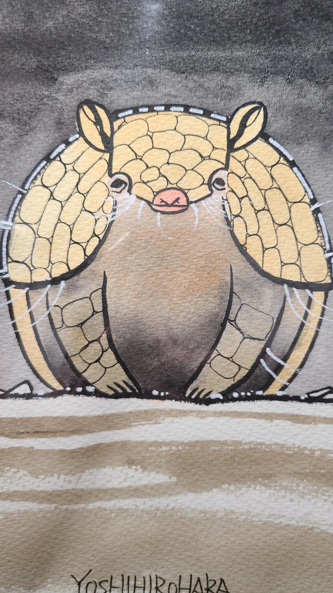 アルマジロ - FROM ARTIST