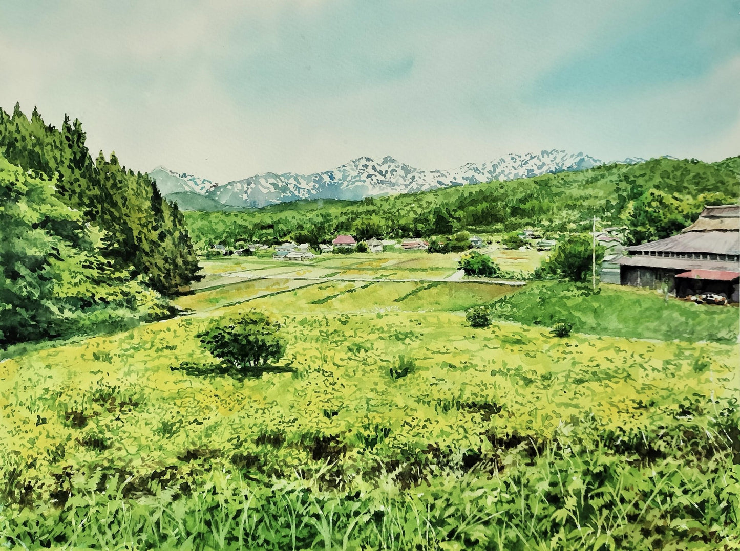 白馬を望む - FROM ARTIST