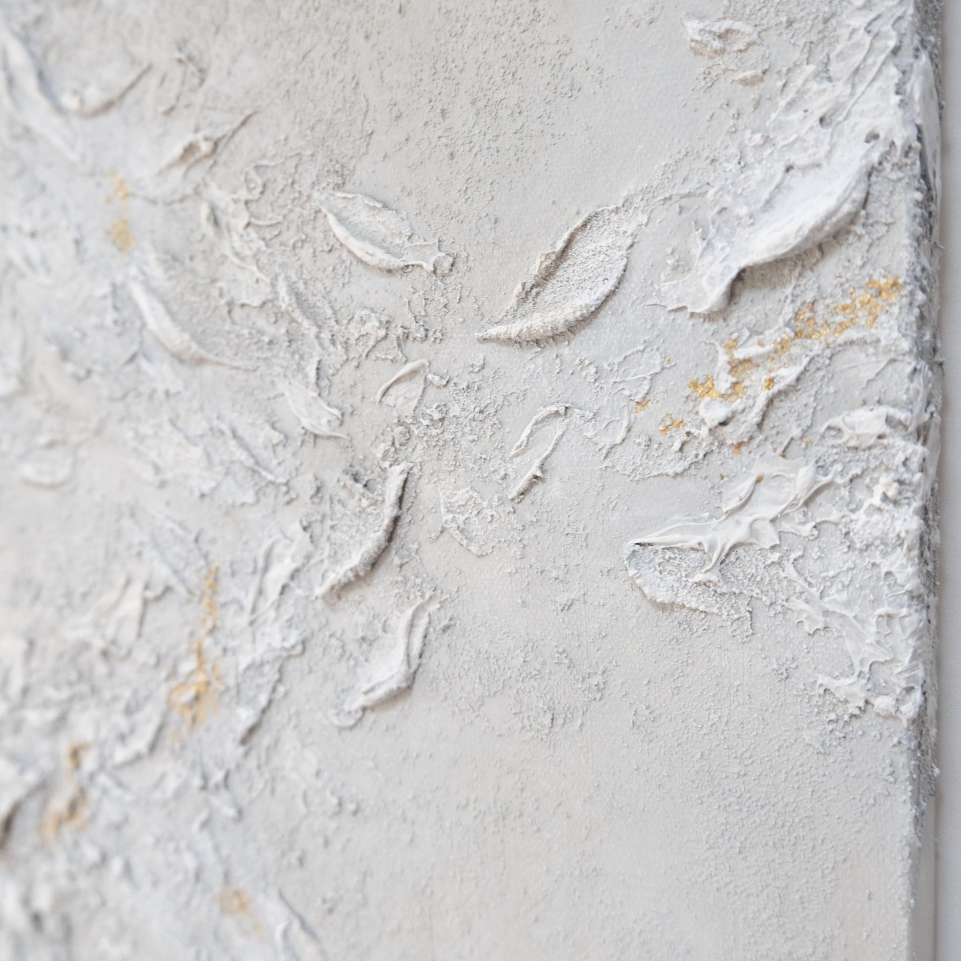 光風 - FROM ARTIST