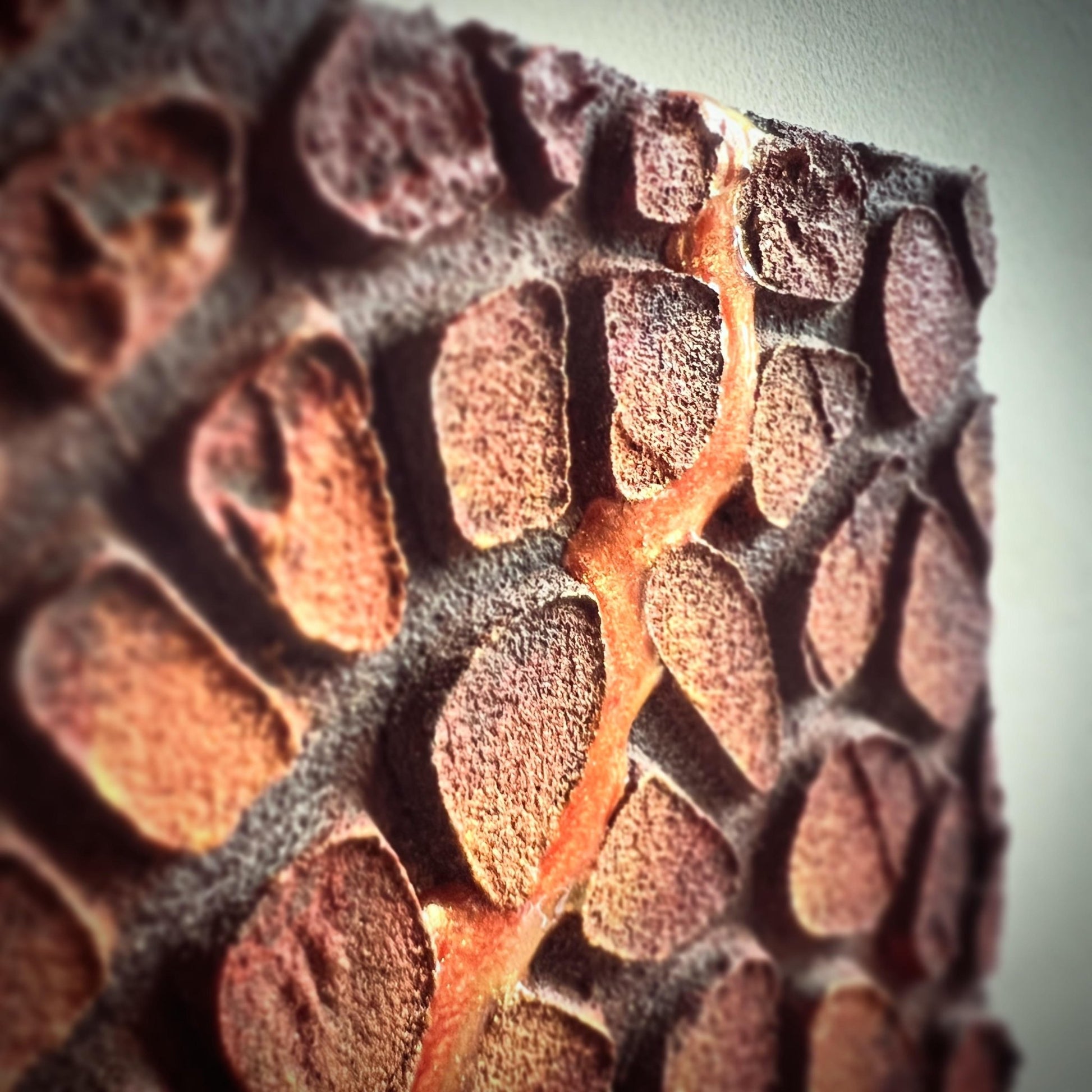 脈打つ大地 - FROM ARTIST