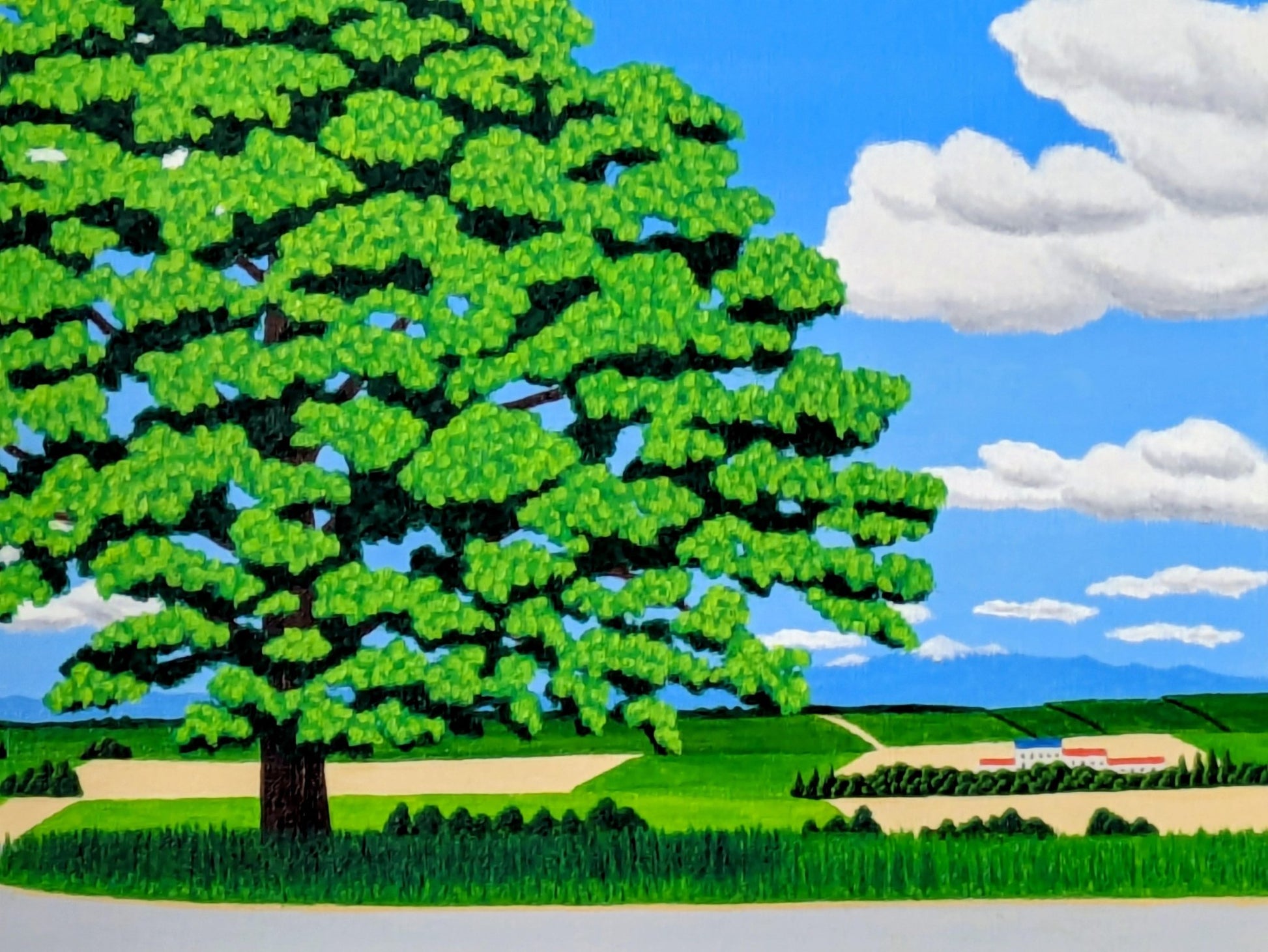 美瑛セブンスターの大木 - FROM ARTIST