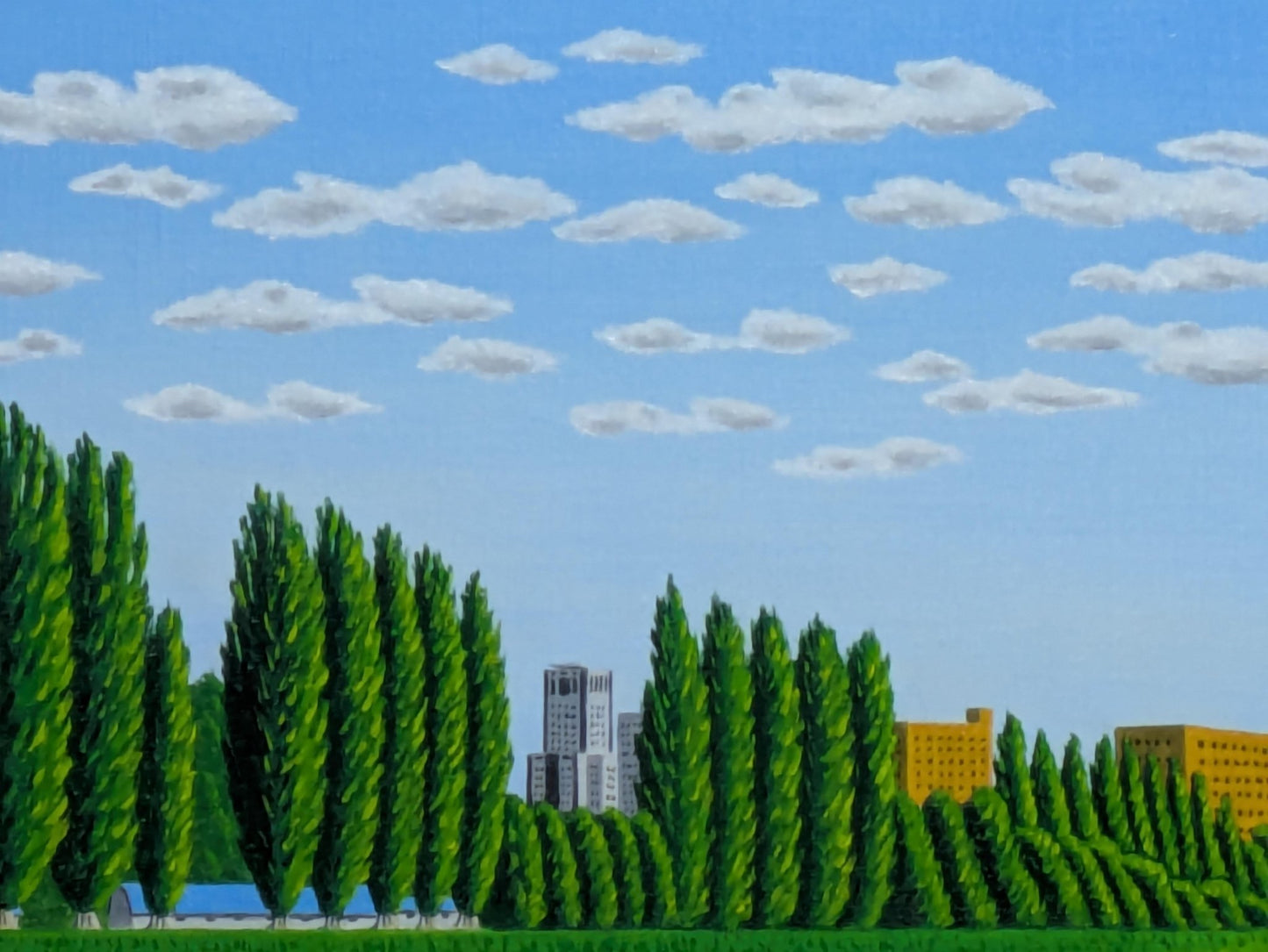 北海道大学のポブラ並木 - FROM ARTIST