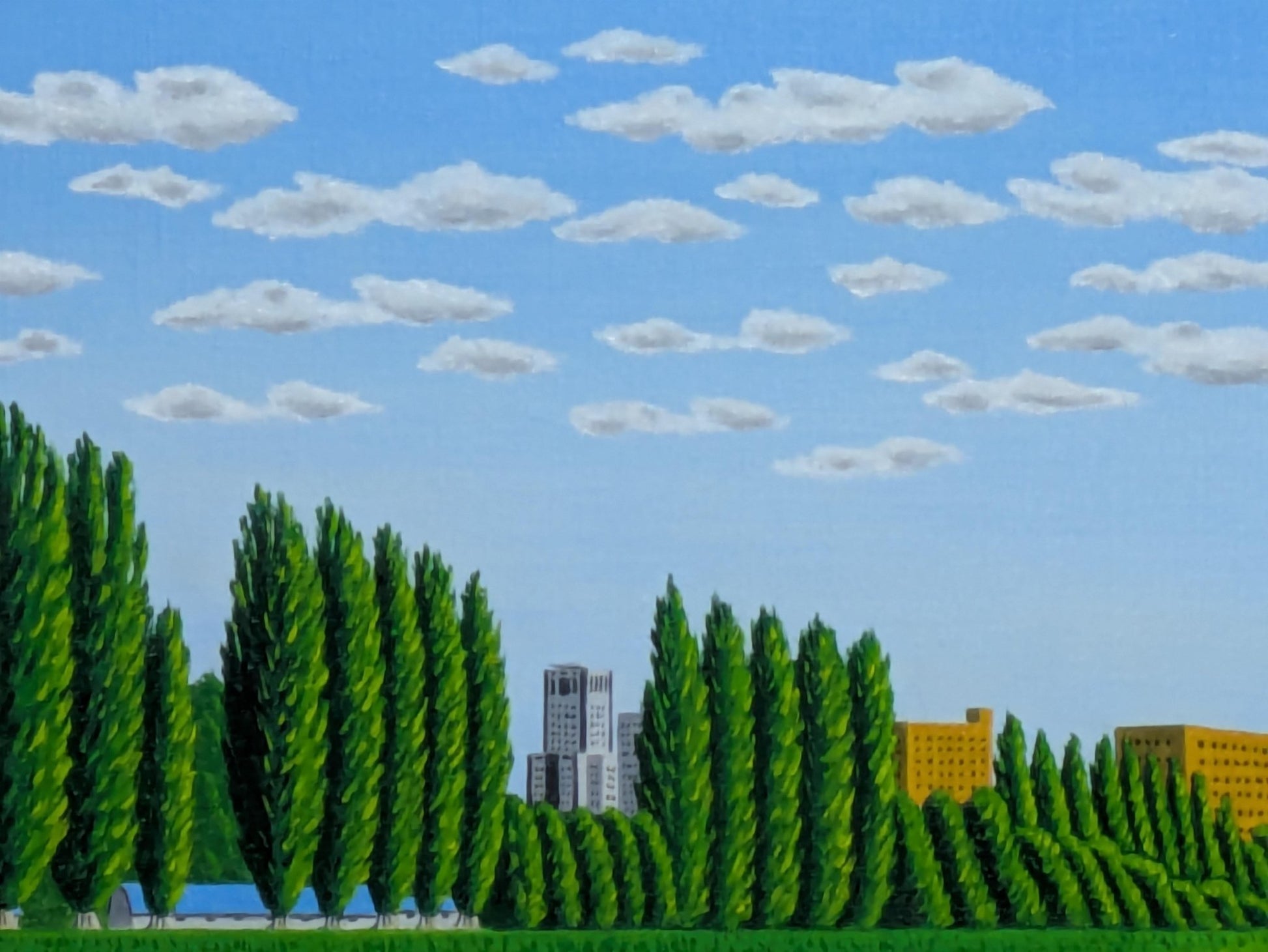 北海道大学のポブラ並木 - FROM ARTIST