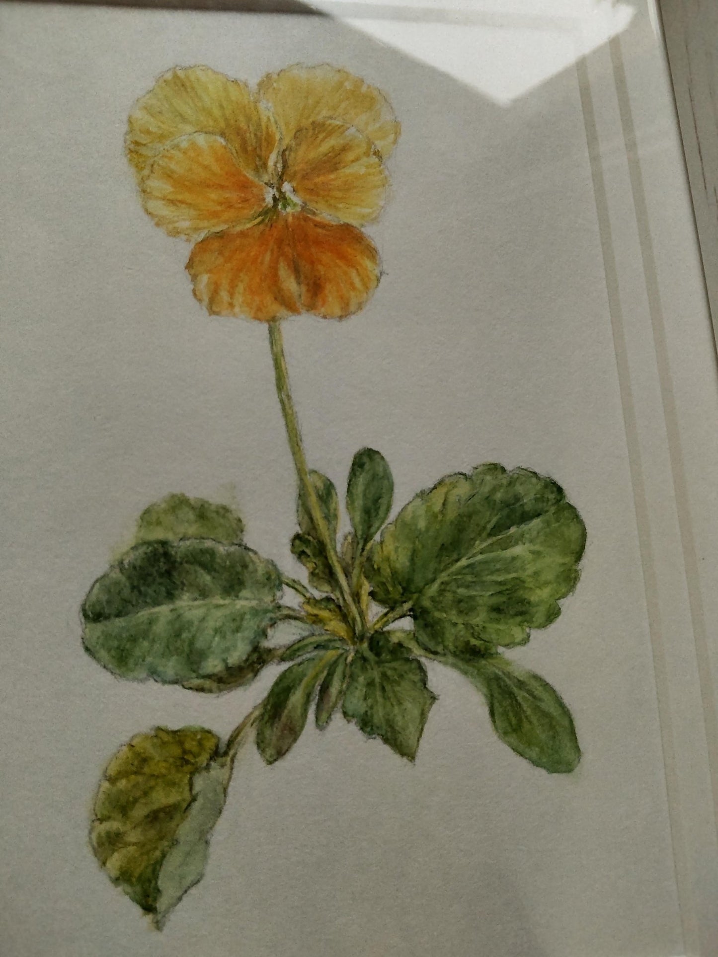 ささやかな午後 - FROM ARTIST