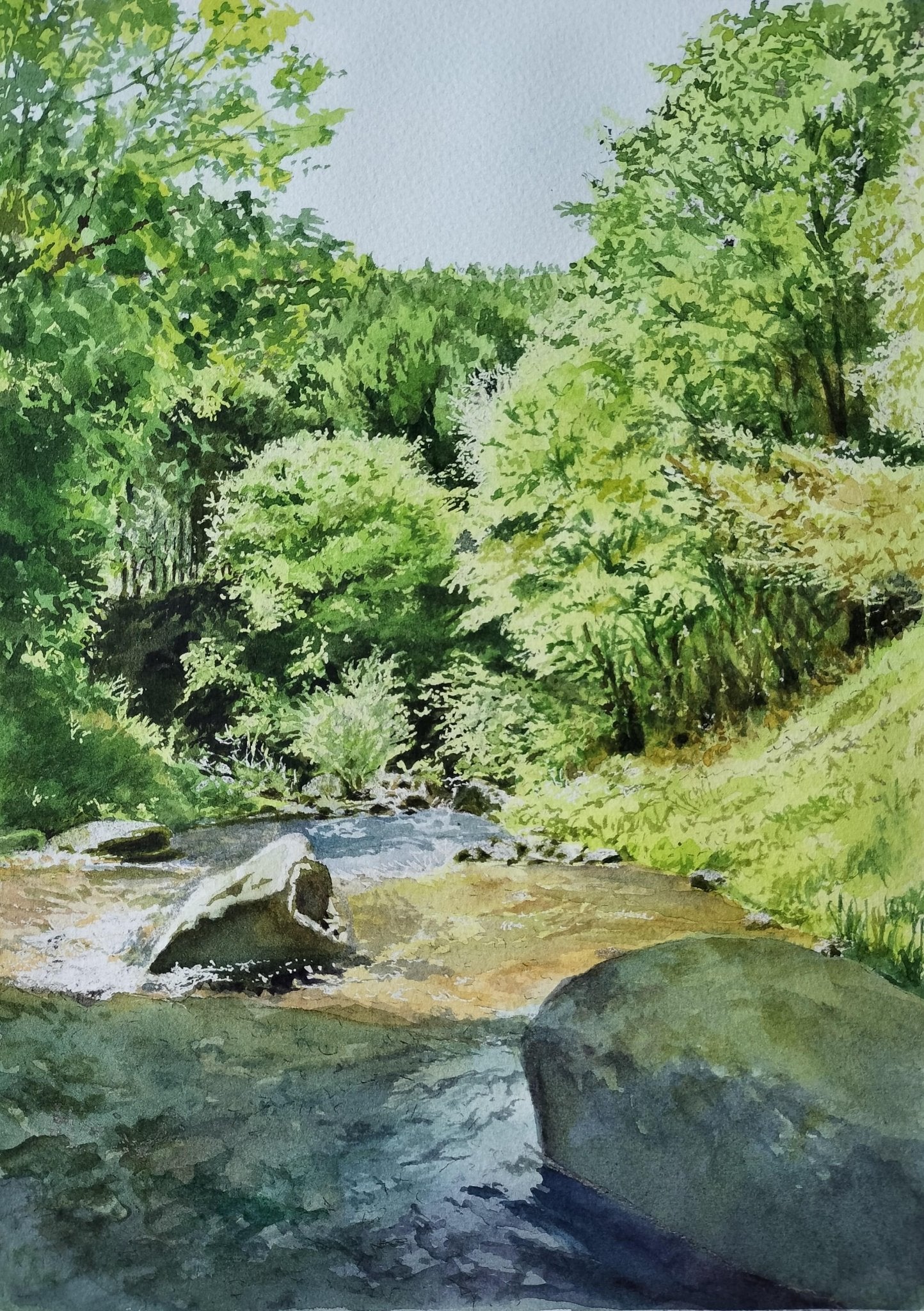 橋の下から望む - FROM ARTIST