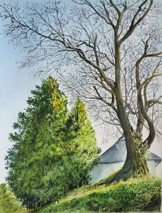 桜の咲く頃 - FROM ARTIST