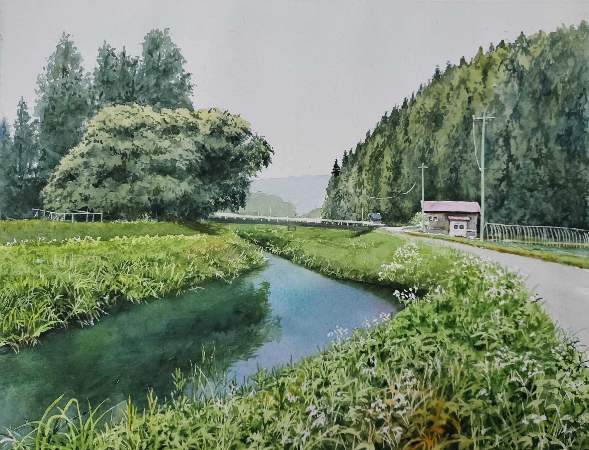 湖へ続く景色 - FROM ARTIST
