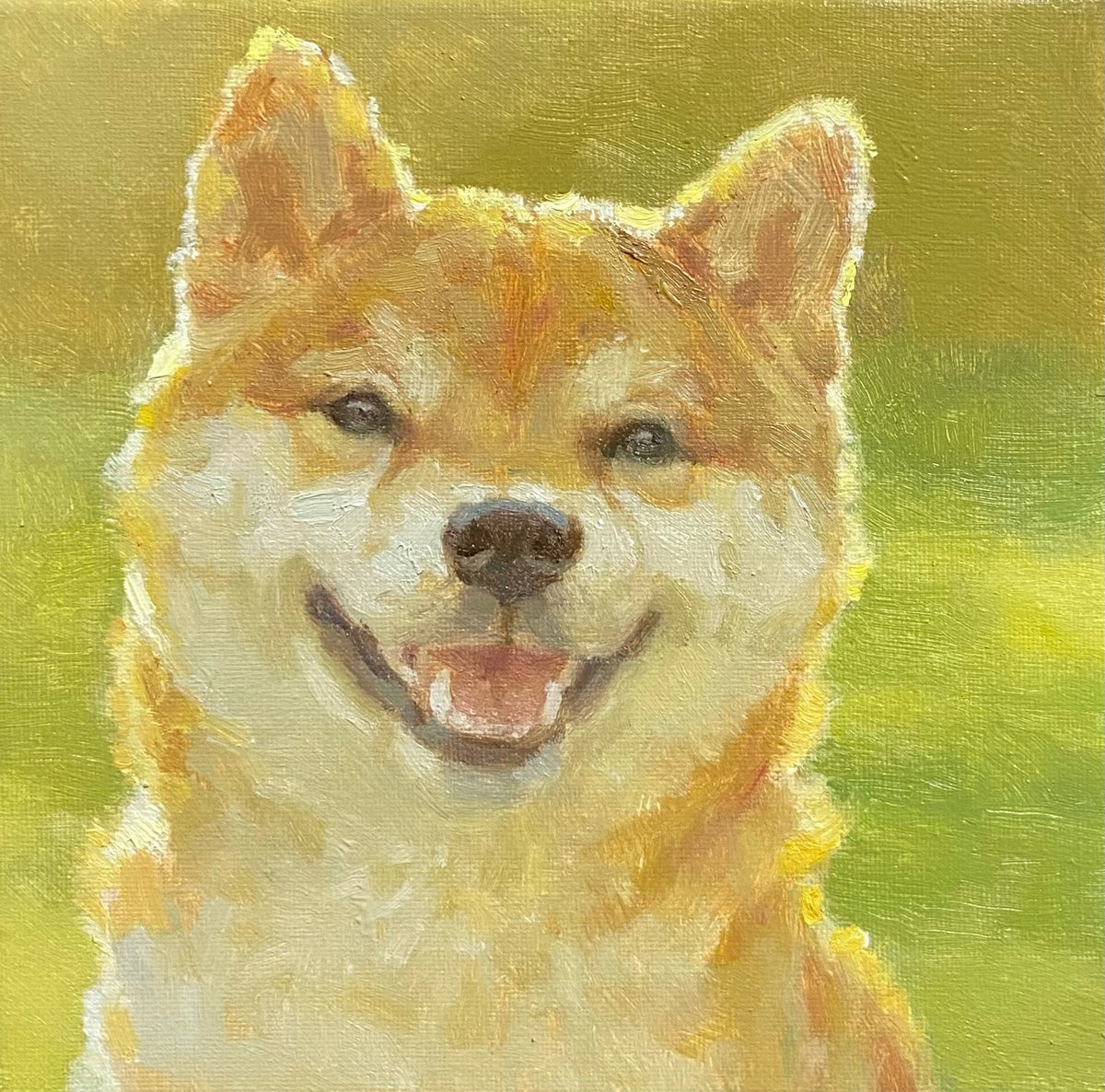 小さな柴犬 - FROM ARTIST