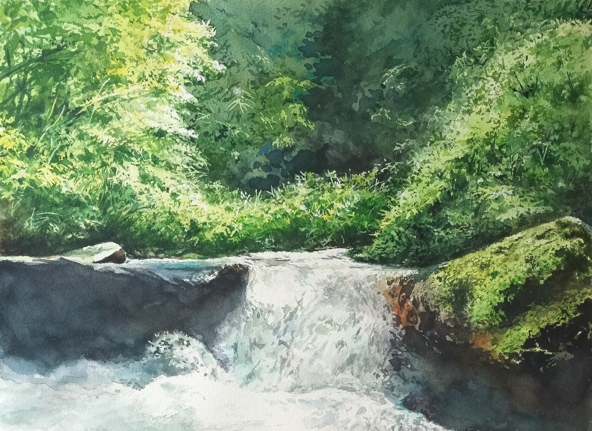 川筋の光 - FROM ARTIST