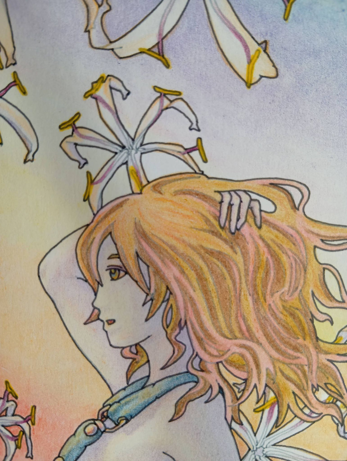 明日晴れたら… - FROM ARTIST