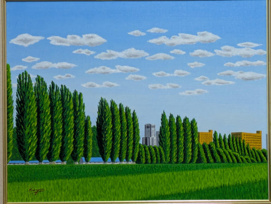 北海道大学のポブラ並木 - FROM ARTIST