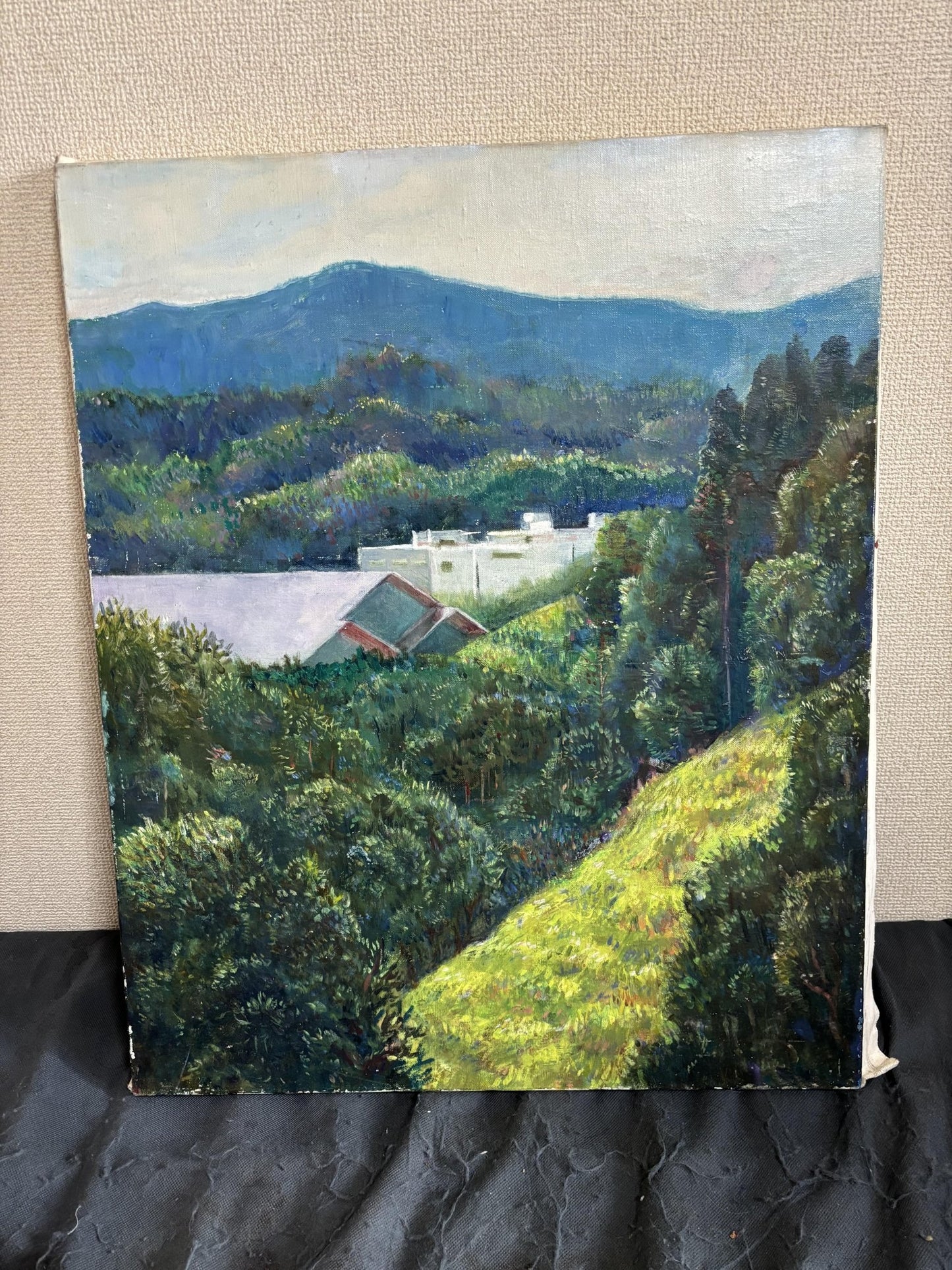 京都の山 - FROM ARTIST