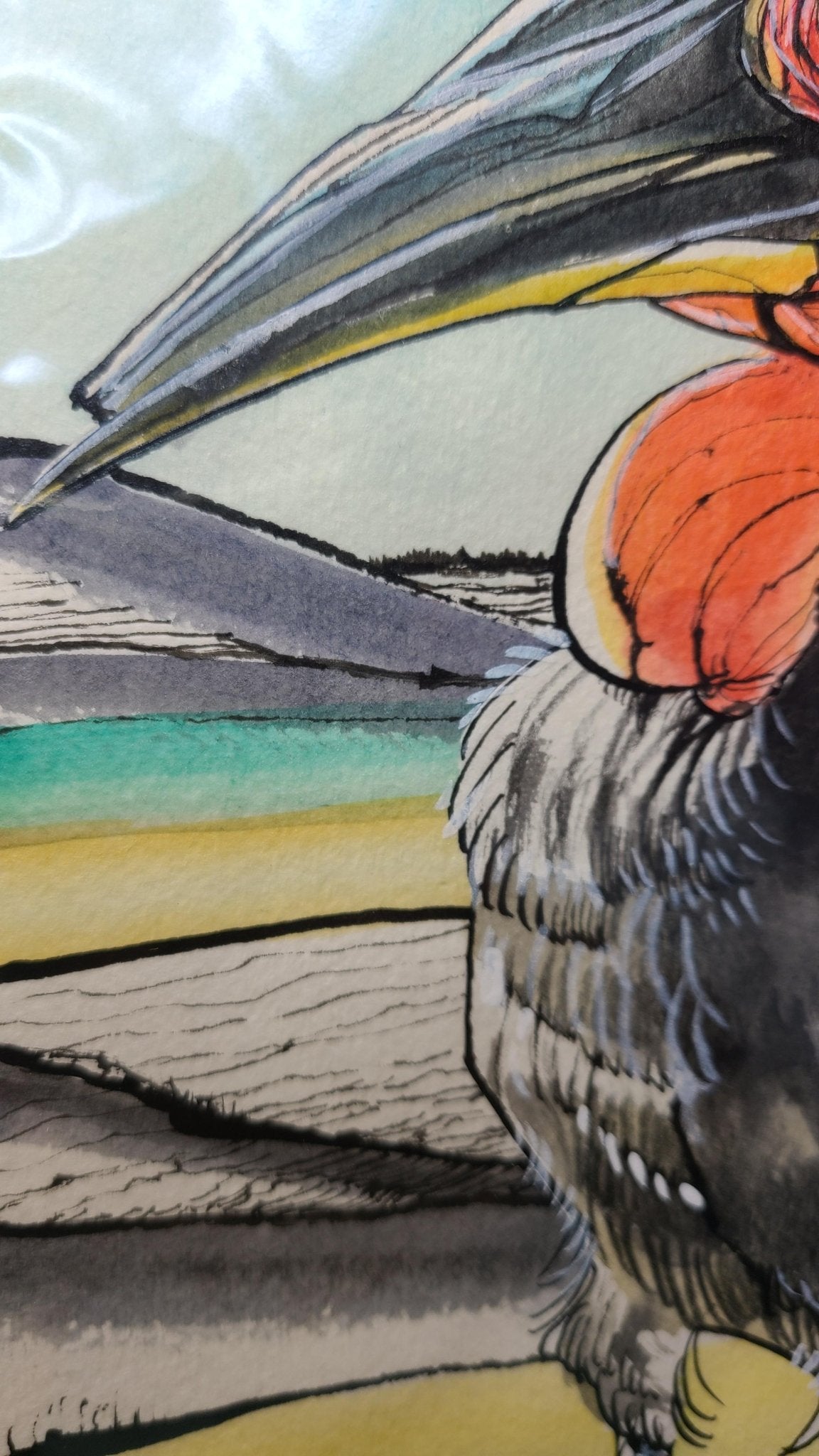 ミナミジサイチョウ - FROM ARTIST