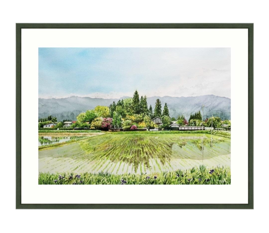 長塀と雑木林 - FROM ARTIST