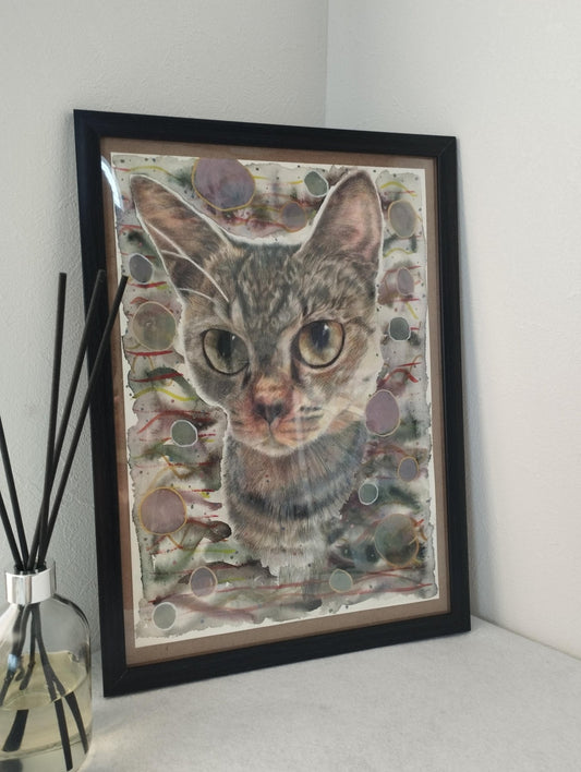 キジトラ猫 - FROM ARTIST