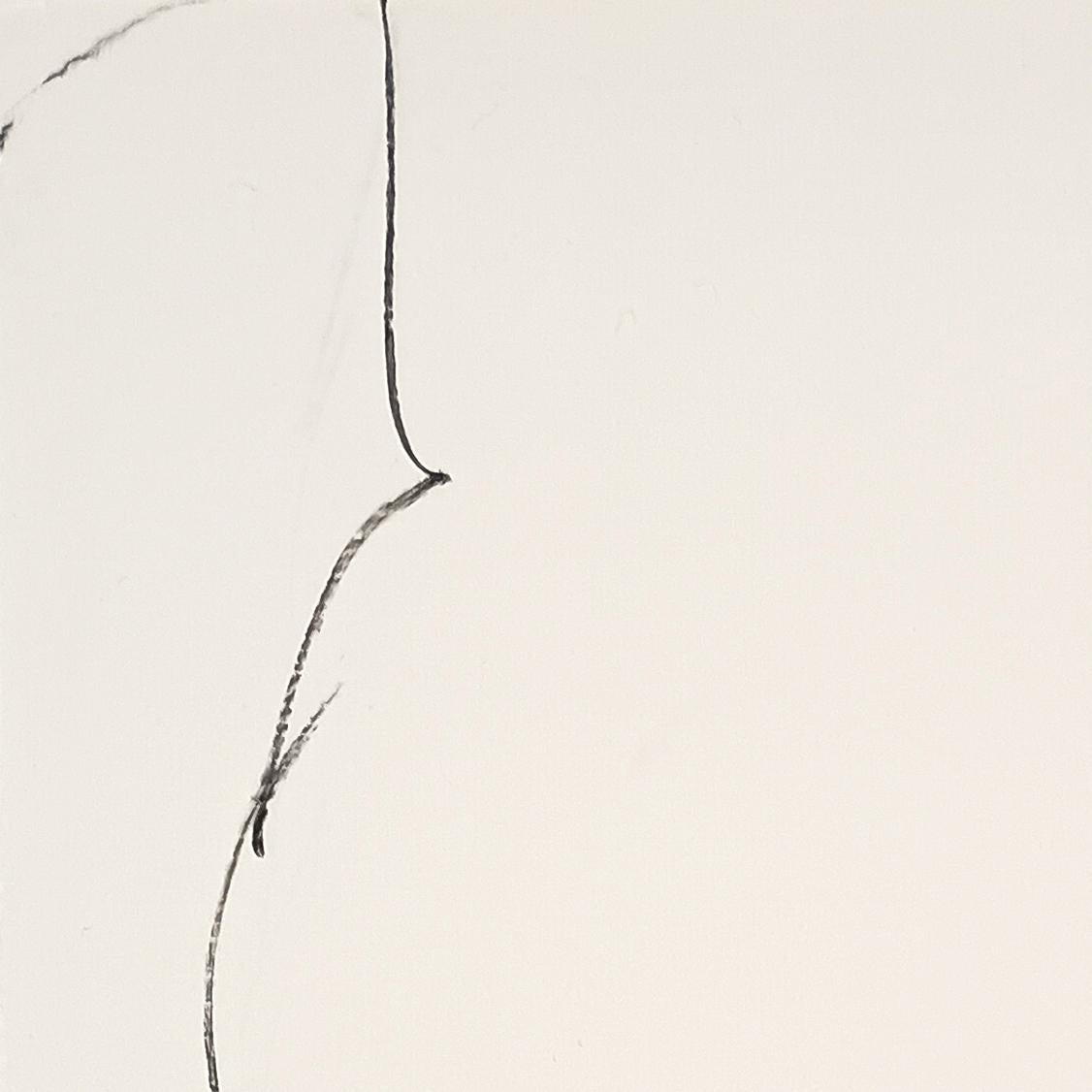 朝の小鳥 - FROM ARTIST