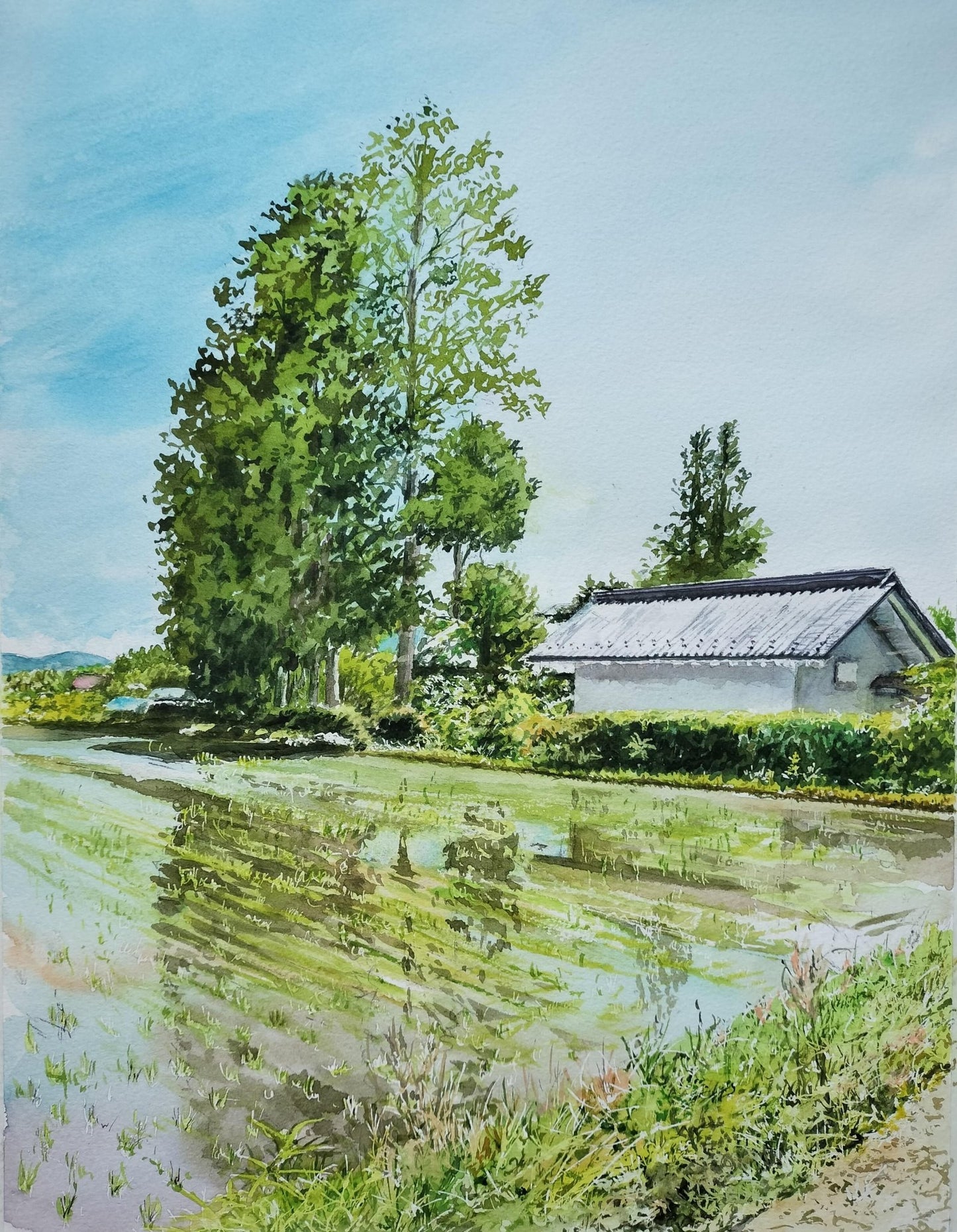 水鏡の映える景色 - FROM ARTIST