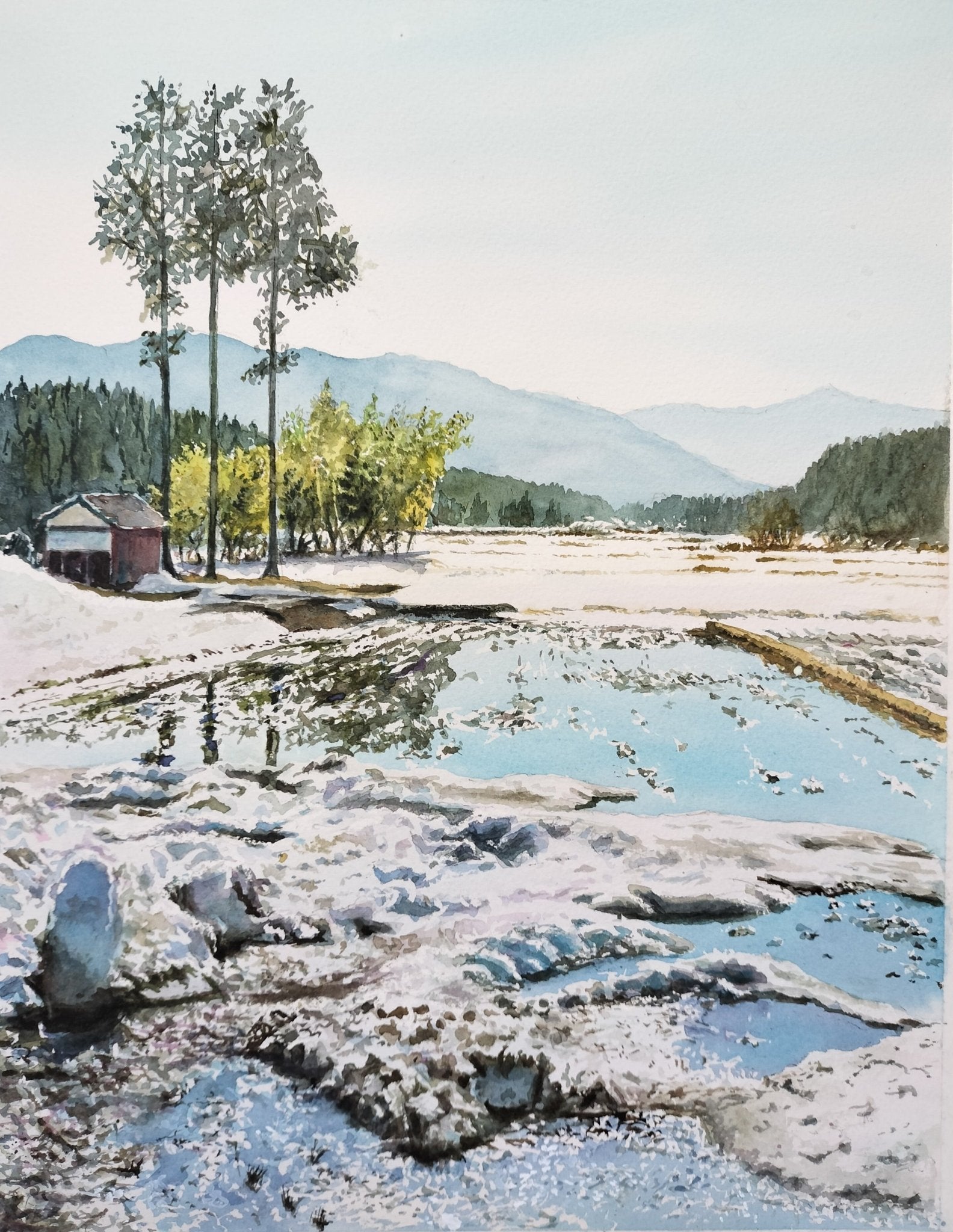 春待ちの残雪 - FROM ARTIST