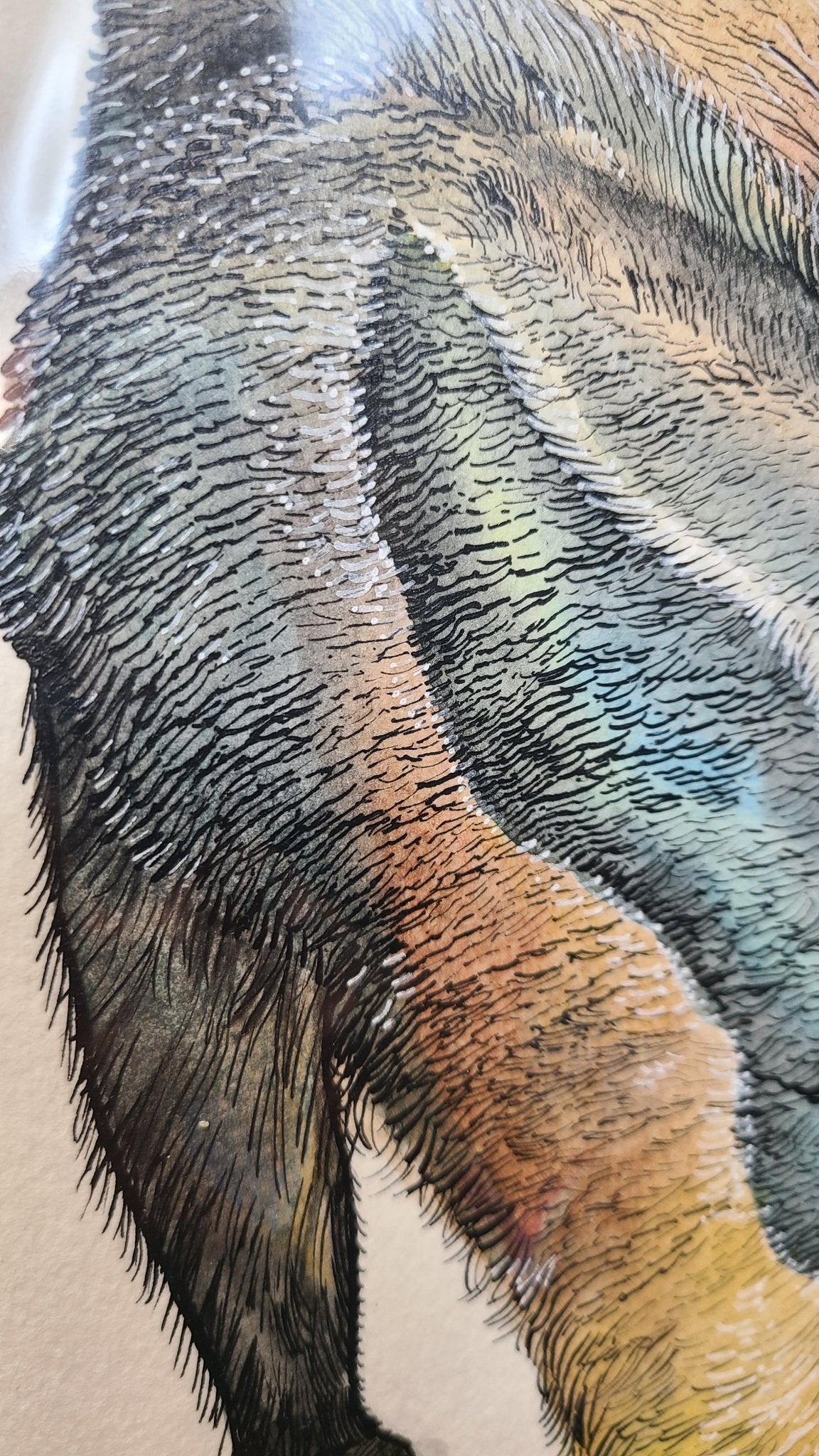 オオアリクイ - FROM ARTIST