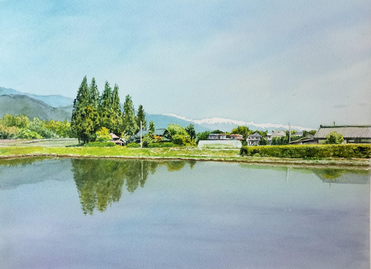 五月晴れの水鏡 - FROM ARTIST