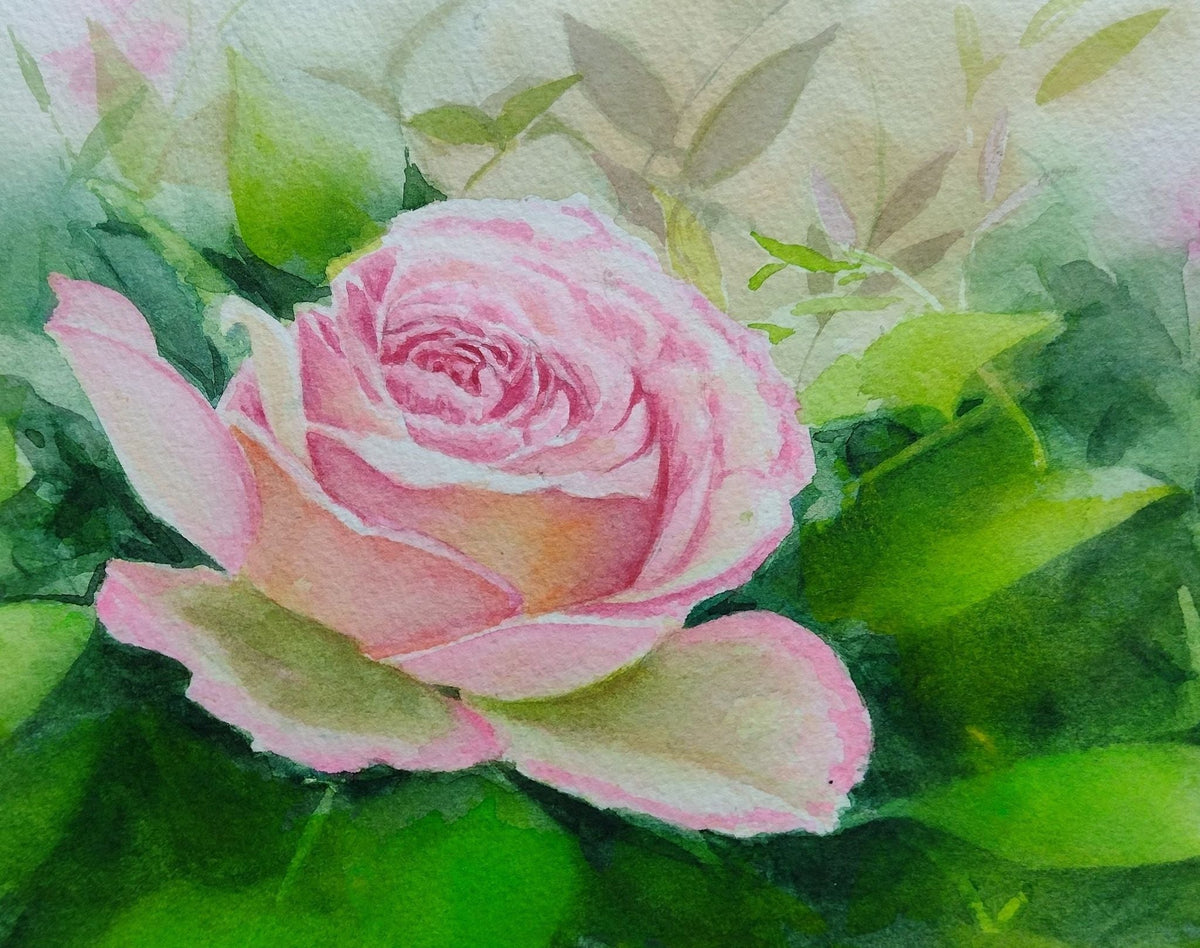 柔らか色の薔薇 - FROM ARTIST