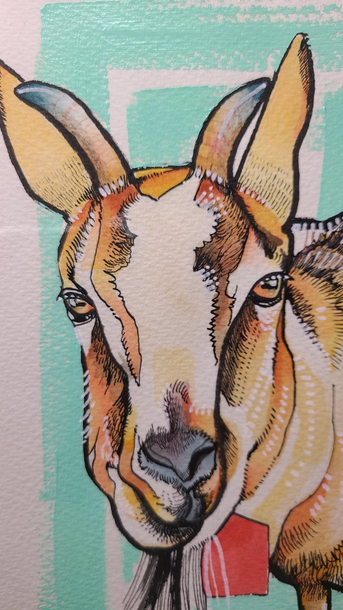 ピグミーゴート - FROM ARTIST