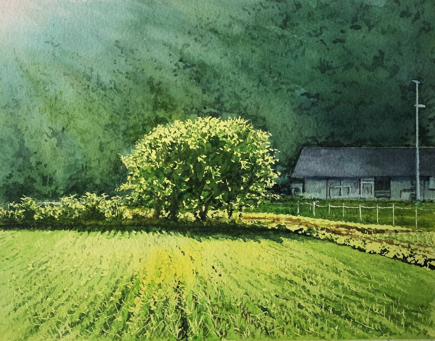 里の光 - FROM ARTIST
