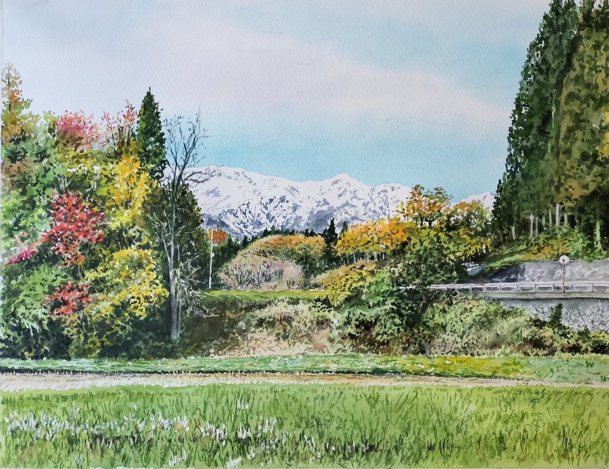 紅葉と初冠雪 - FROM ARTIST