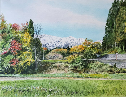 紅葉と初冠雪 - FROM ARTIST