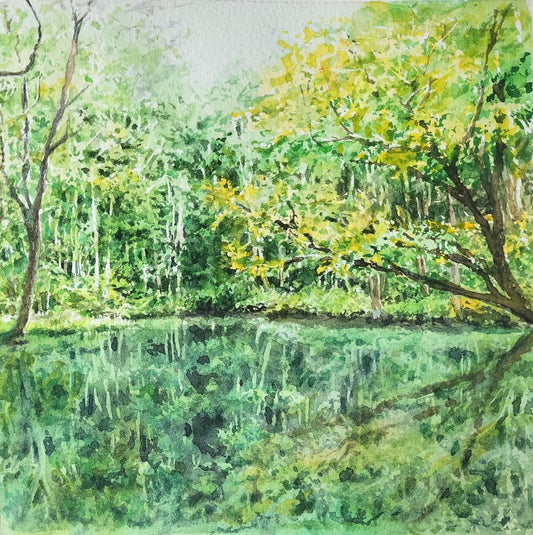 小さな池に映る景色 - FROM ARTIST