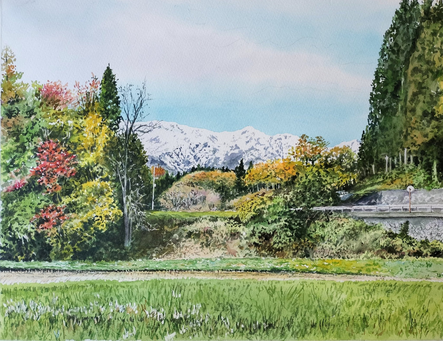 紅葉と初冠雪 - FROM ARTIST