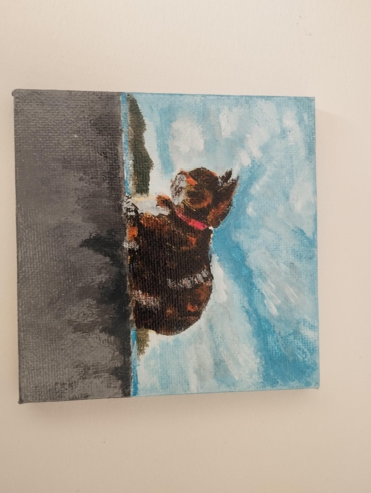 空と猫 - FROM ARTIST