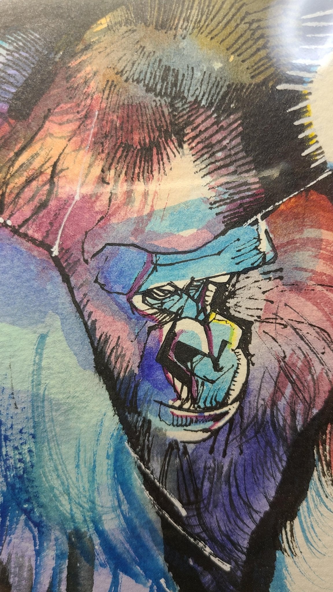 ニシゴリラのハオコ - FROM ARTIST