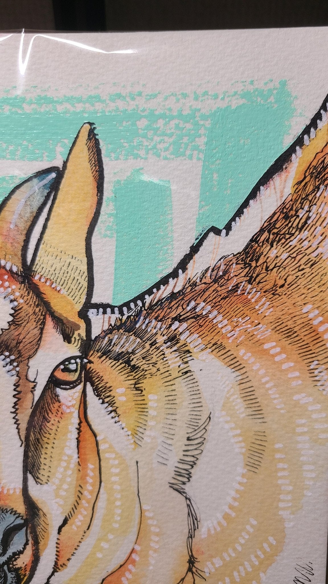 ピグミーゴート - FROM ARTIST