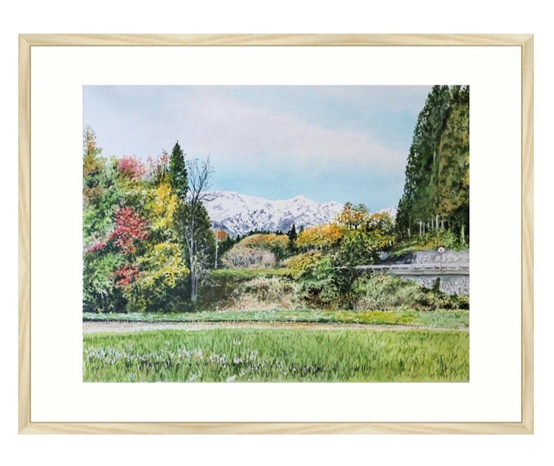 紅葉と初冠雪 - FROM ARTIST