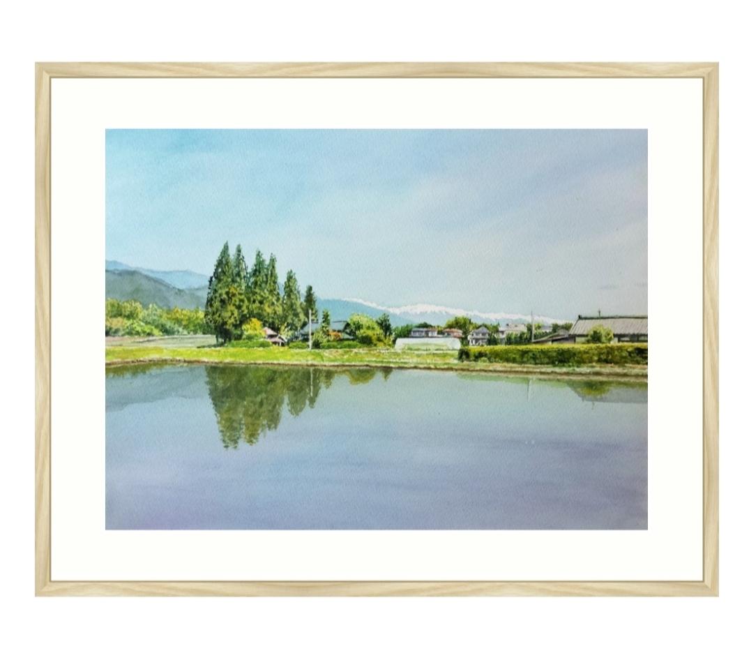 五月晴れの水鏡 - FROM ARTIST