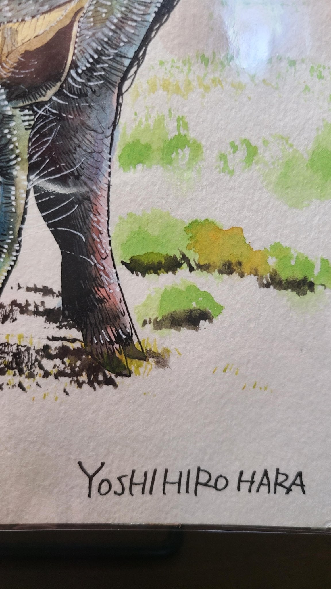 ニホンイノシシ - FROM ARTIST